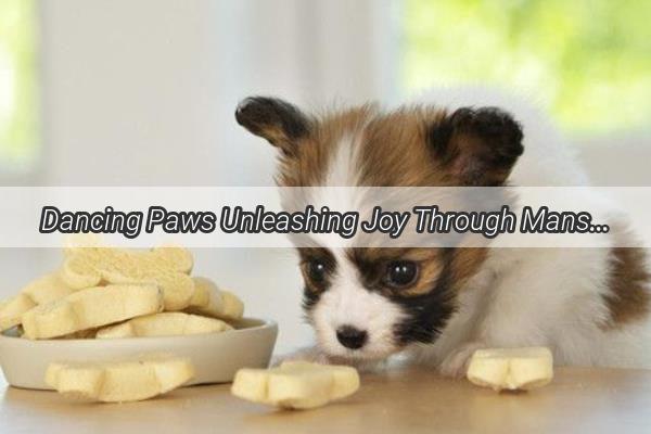 Dancing Paws Unleashing Joy Through Mans Best Friends Moves